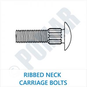 Ribbed Neck Carriage Bolts